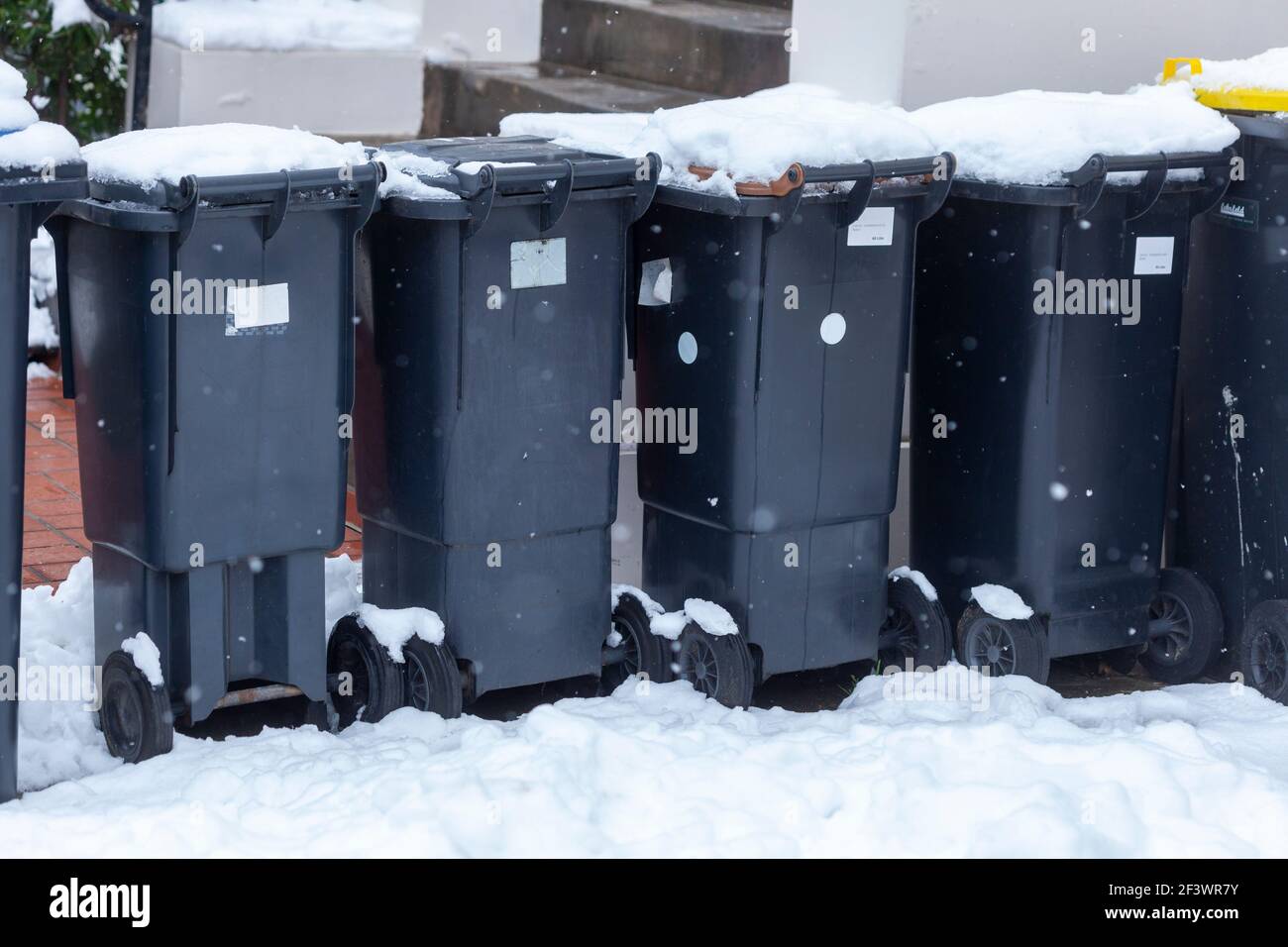 Snowy garbage cans, Germany, Europe Stock Photo