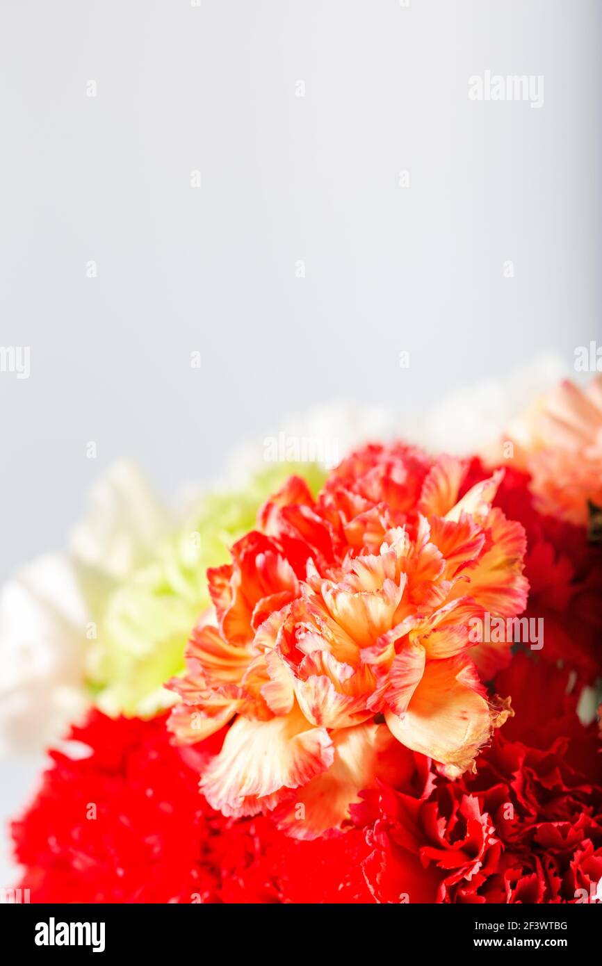 Carnation bouquet hi-res stock photography and images - Alamy