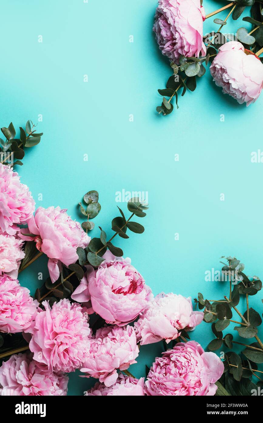 Floral pattern, frame made of pink peonies, eucalyptus flowers on ...