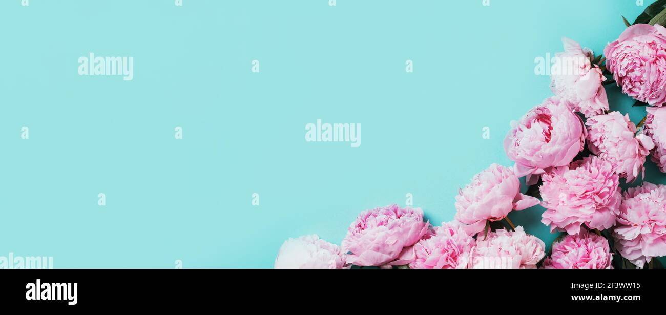 Frame pattern of pink peonies, eucalyptus flowers on pastel blue ...