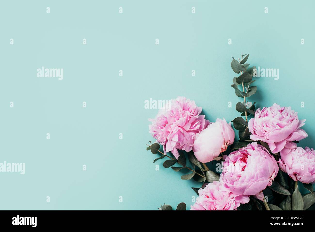 Floral pattern, frame made of pink peonies, eucalyptus flowers on ...