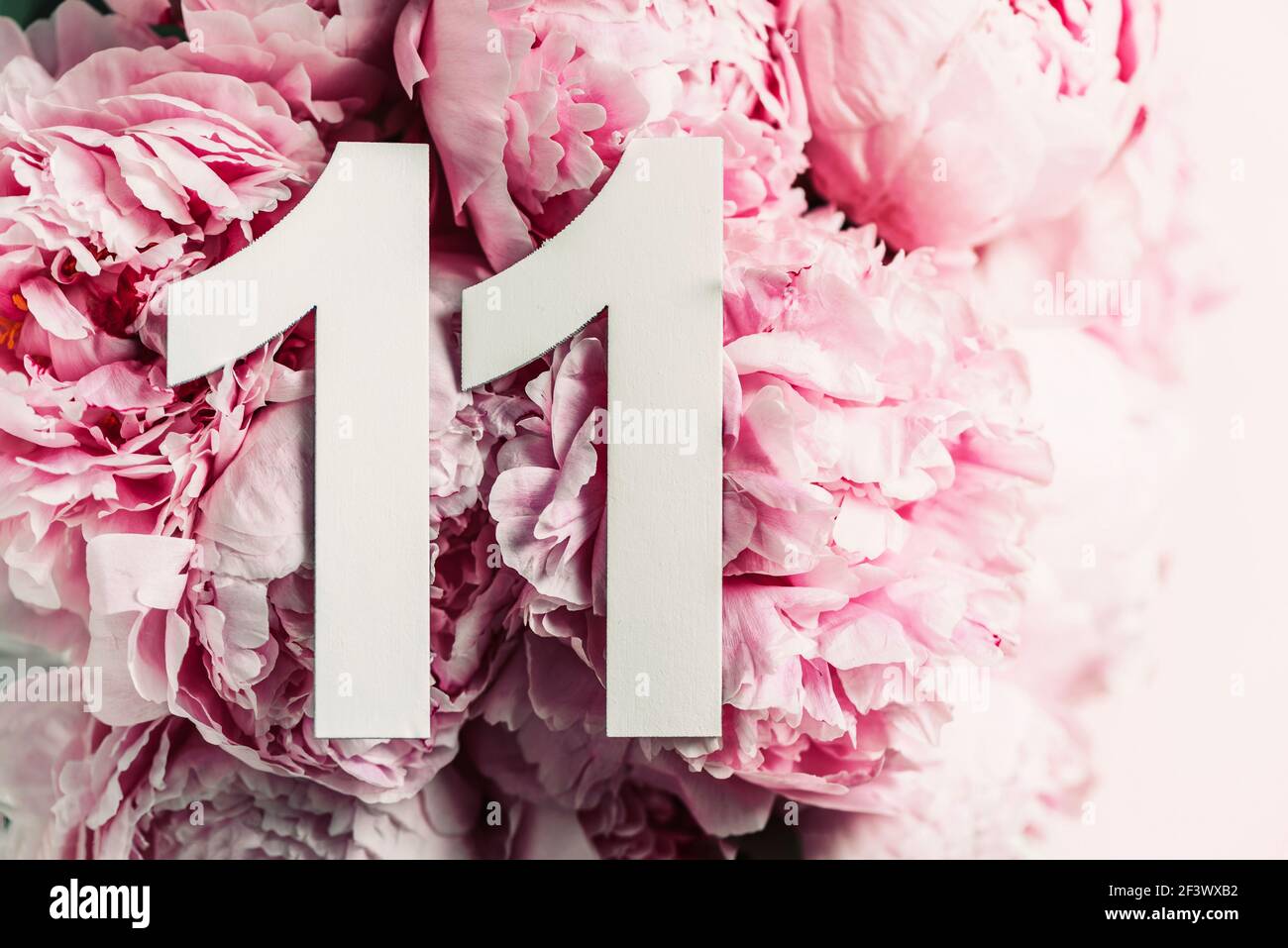 Creative layout. Peony flowers, digit eleven. Birthday greeting Creative layout. Peony flowers, digit eleven. Birthday greeting