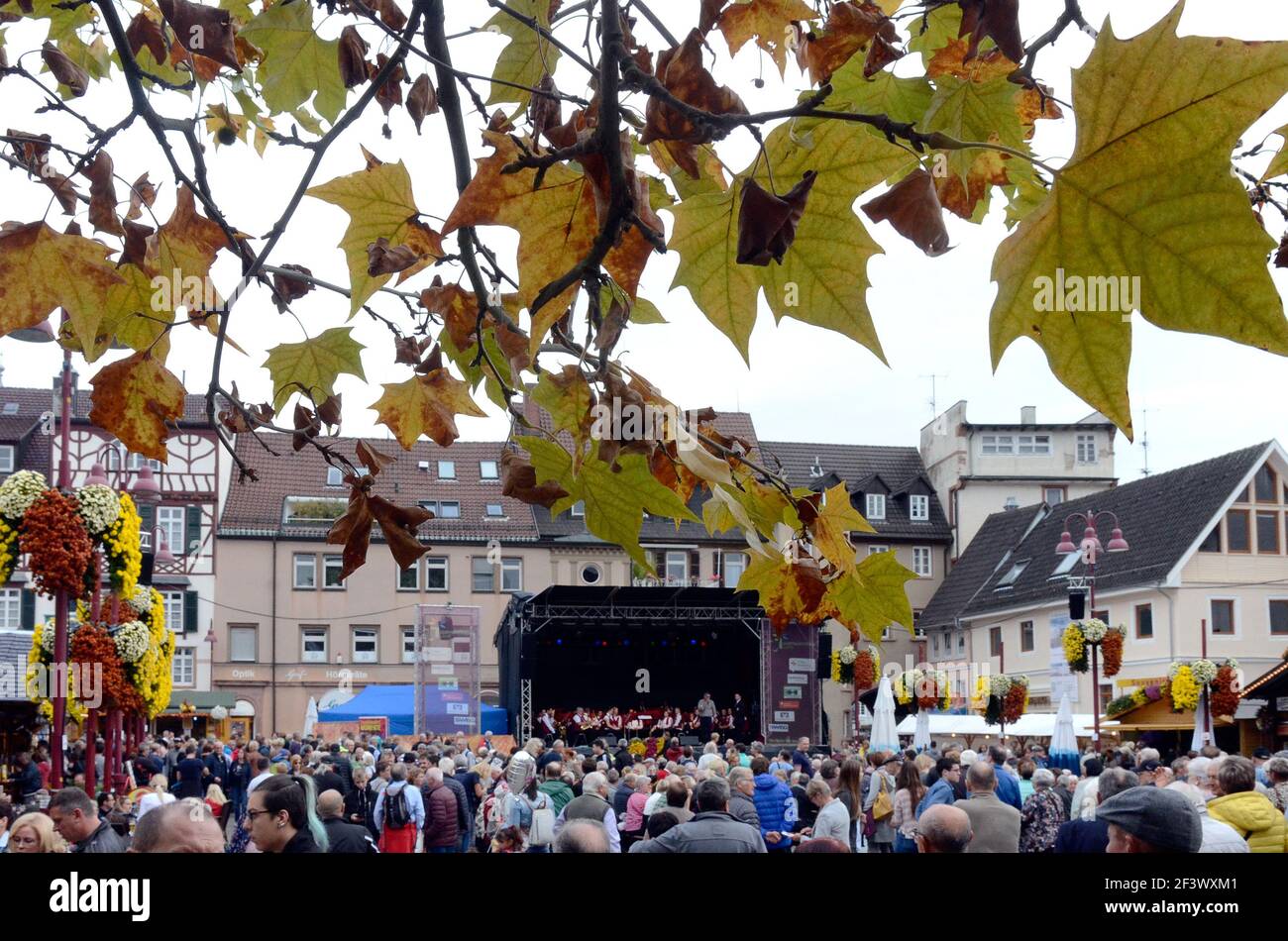 Lahr, Marktplatz, Motto der Chrysanthema: Lahr, die Stadt, die im Herbst blüht. Stock Photo