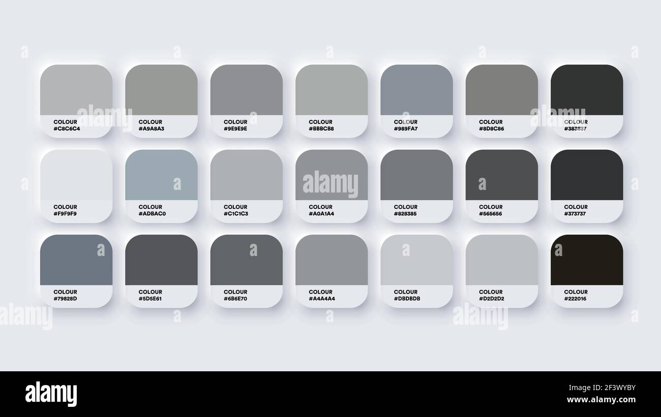 Colour Palette Catalog Samples Grey in RGB HEX. Neomorphism Vector Stock Vector