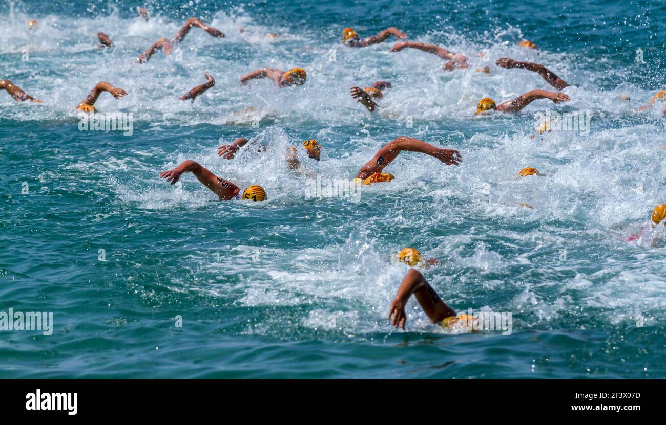 Swimming athletes in a triathlon contest Stock Photo Alamy