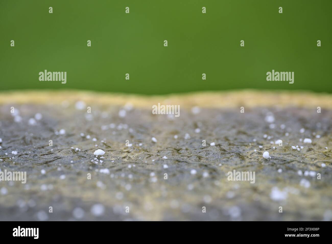 Closeup view of very small hailstones on frozen water in a garden vase, Dublin, Ireland. Soft and selective focus. Irish winter weather Stock Photo