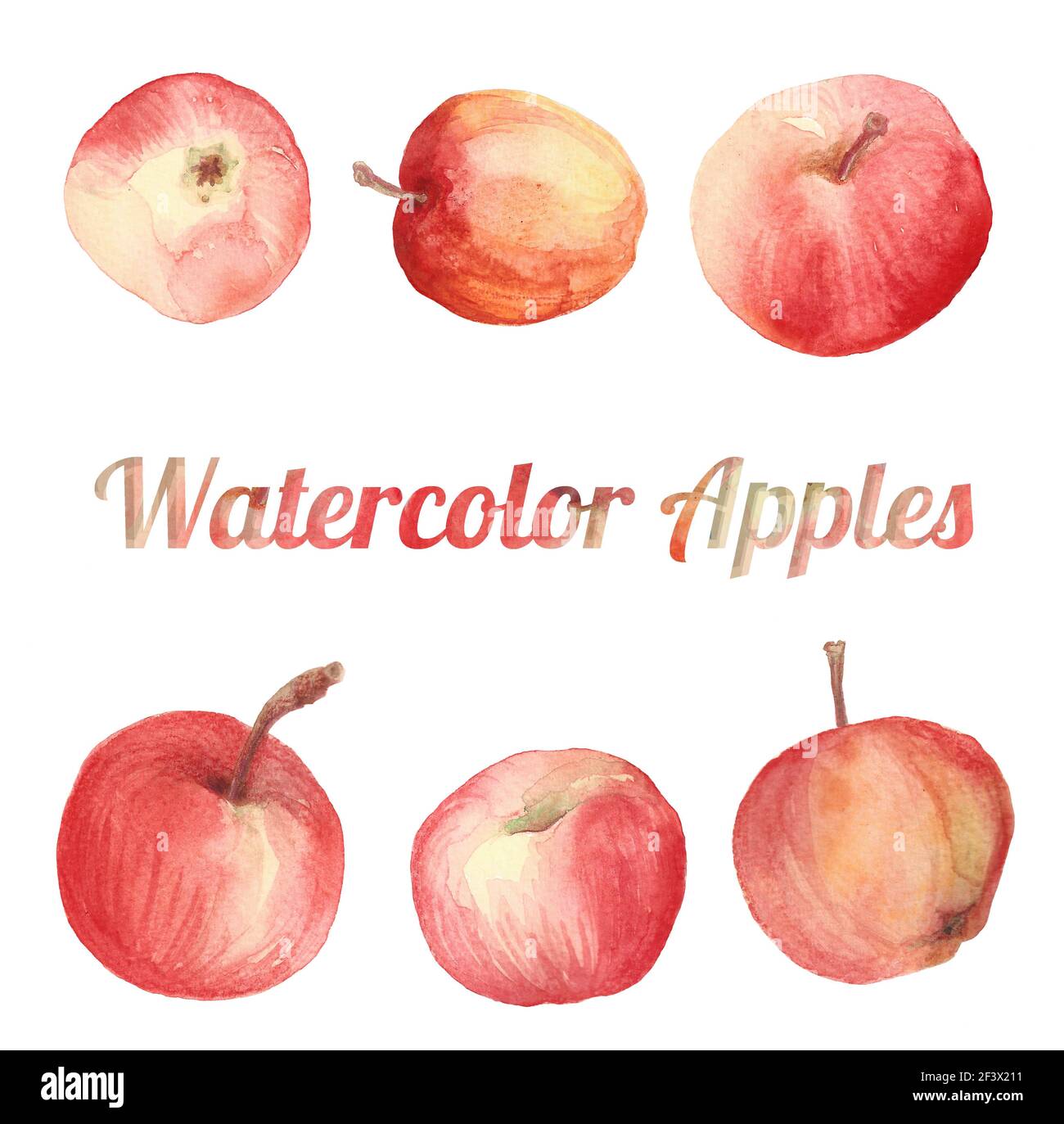 set-of-watercolor-apple-drawings-stock-photo-alamy