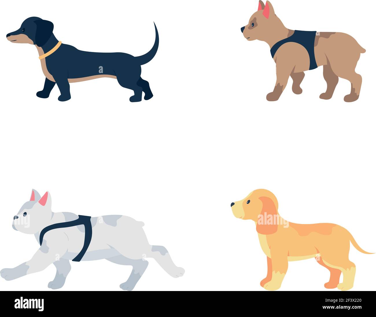 Different dog breeds flat color vector detailed character set Stock Vector
