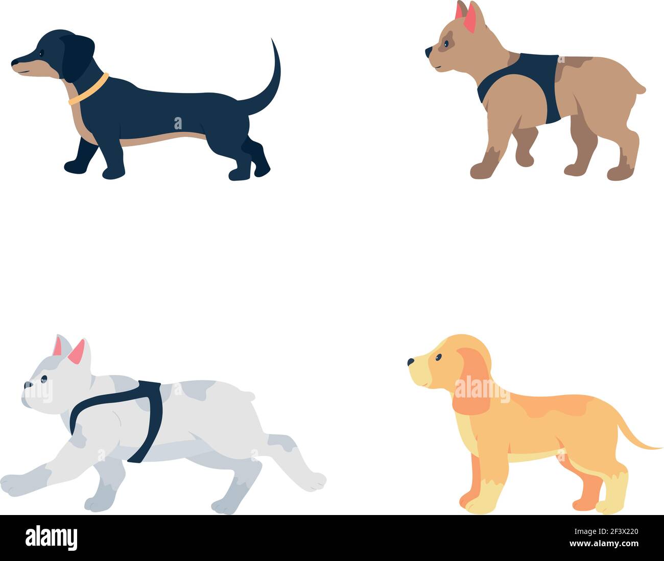 Different dog breeds flat color vector detailed character set Stock ...