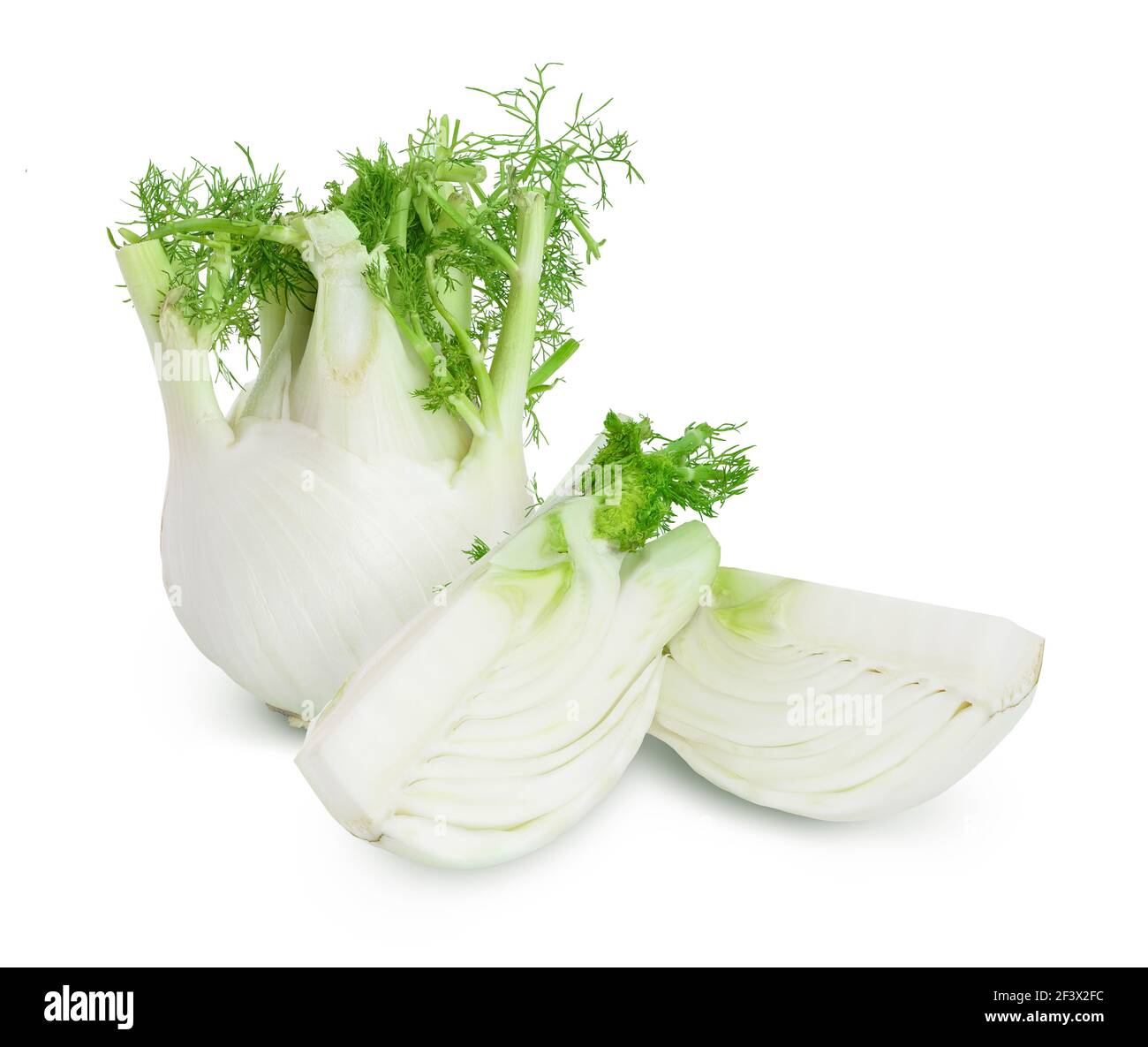 fresh fennel bulb with slice isolated on white background with full depth  of field Stock Photo - Alamy