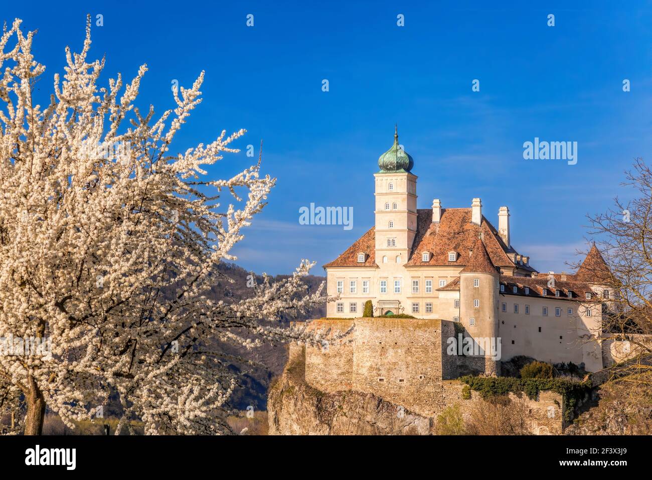 The medieval Schonbuhel castle, built on a rock over Danube river during spring time in Wachau valley, UNESCO cultural landscape, Austria Stock Photo