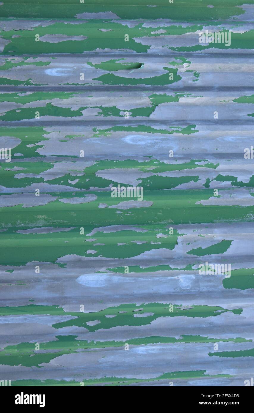 Paint Peeling from Corrugated Iron Stock Photo