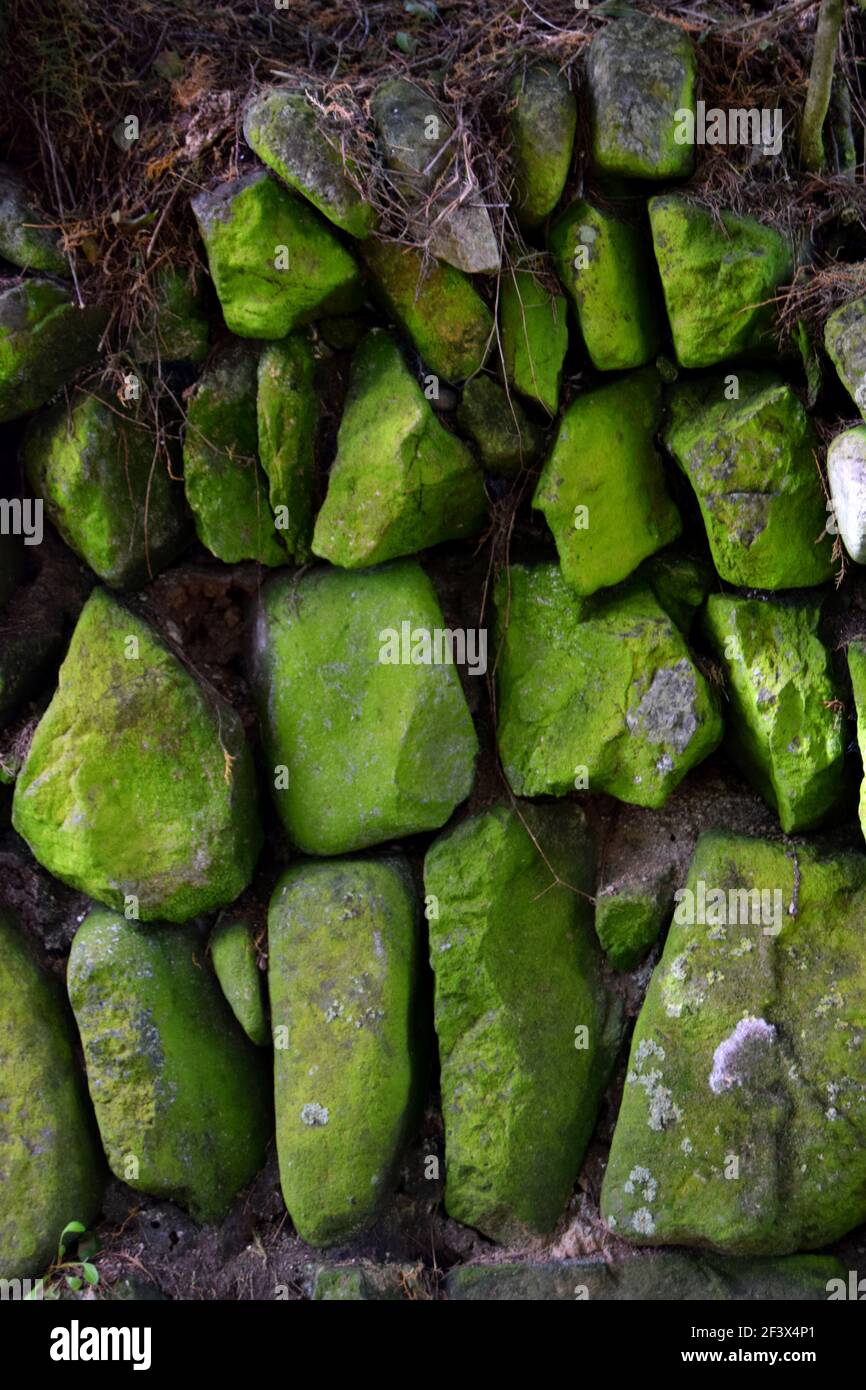 Vibrant Green Stones Stock Photo Alamy
