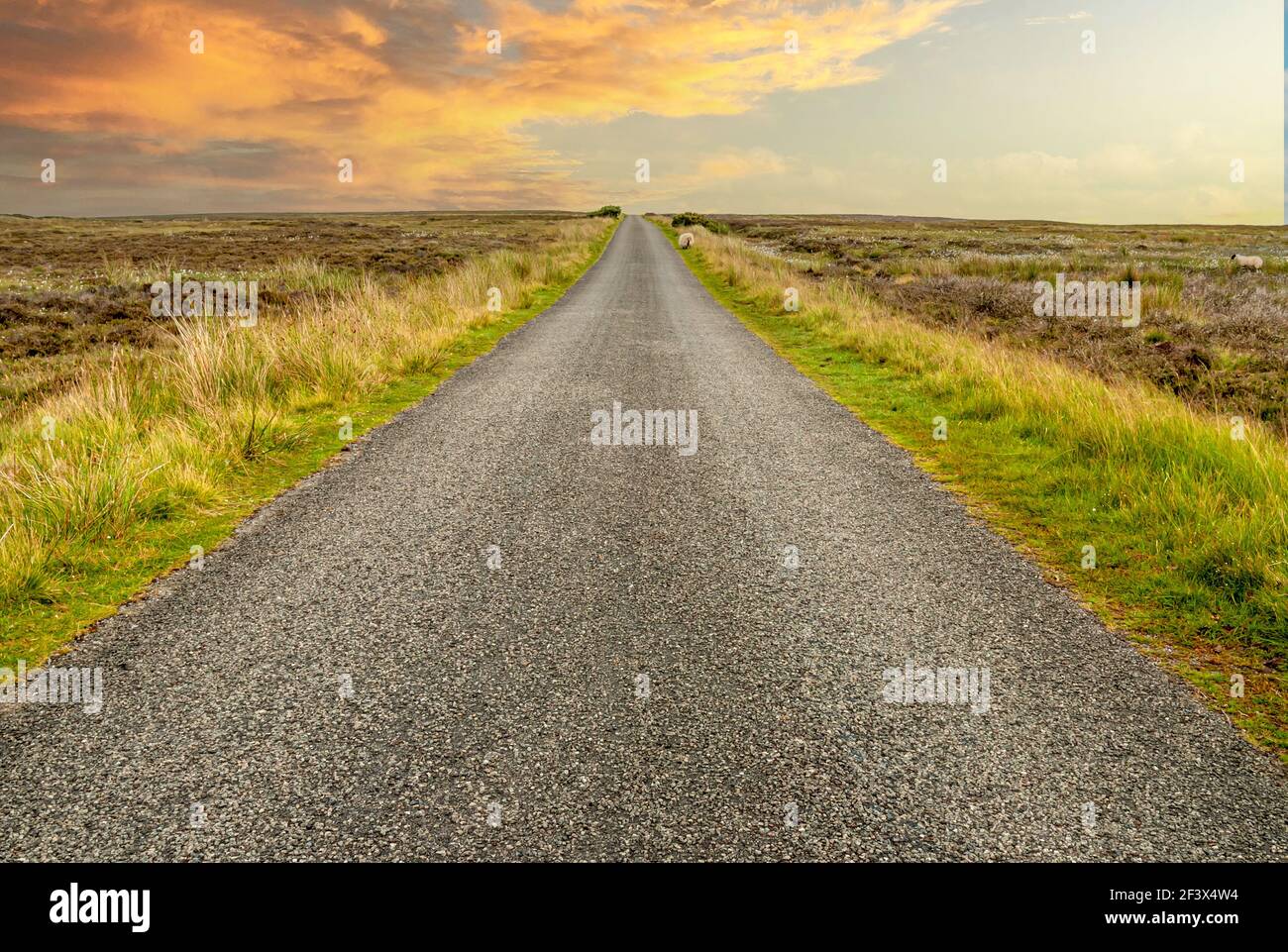 Backcountry street into a sunset at the North York Moors, England, UK Stock Photo