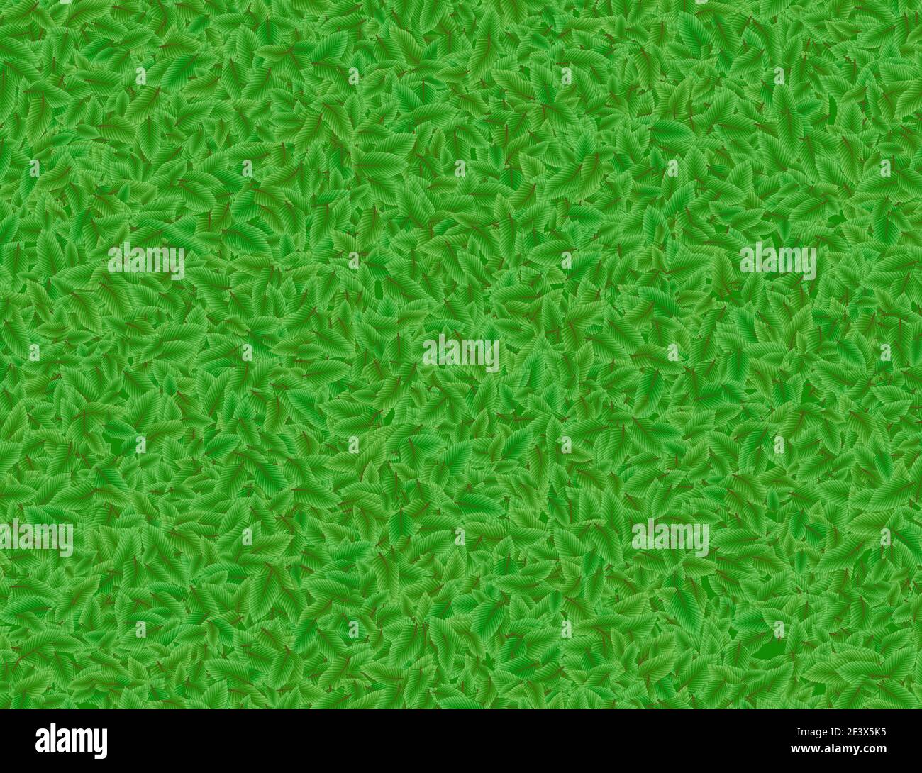 lush green leaves backgrounds Stock Photo - Alamy