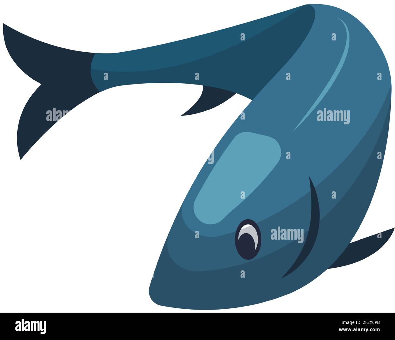 Swimming fish vector illustration isolated on white Stock Vector Image ...