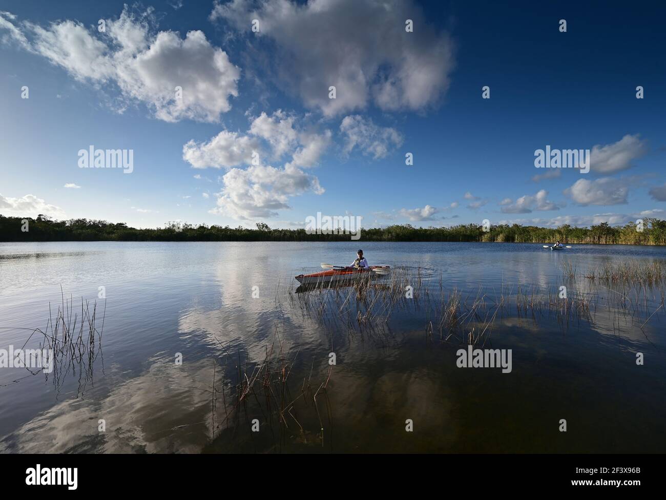 Woman kayaking on Nine Mile Pond in Everglades National Park, Florida. Stock Photo