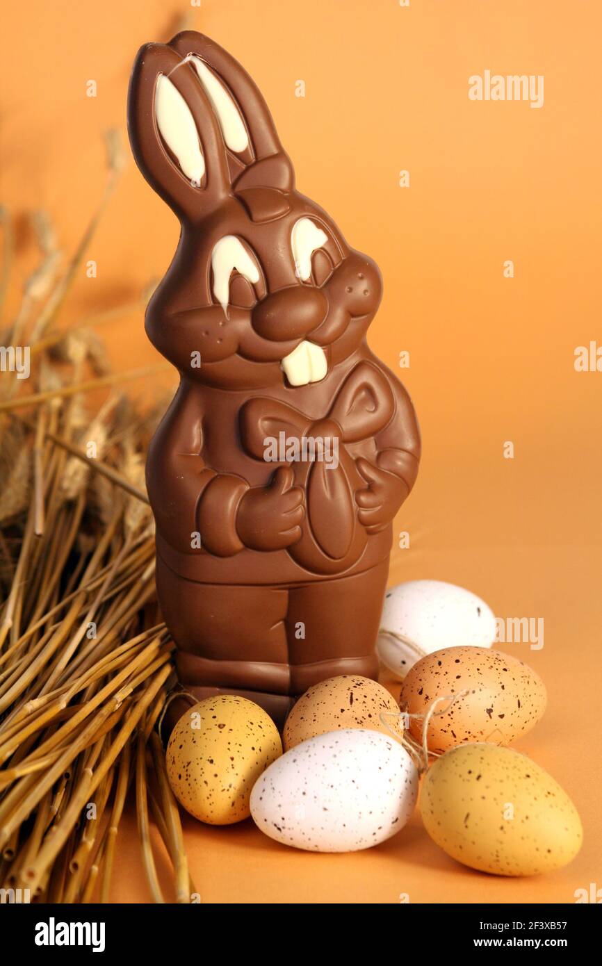 Largest Chocolate Bunny