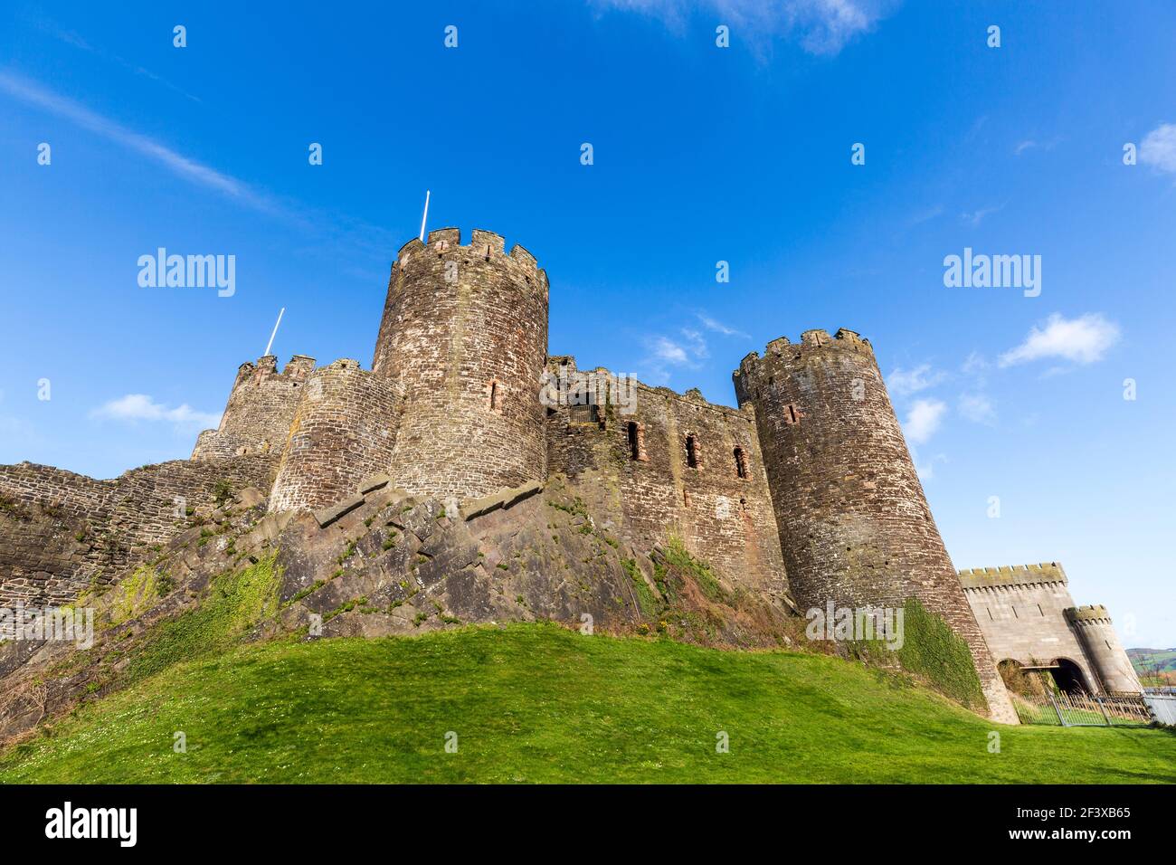 The medieval fortified wall of Conwy Castle, Wales Stock Photo