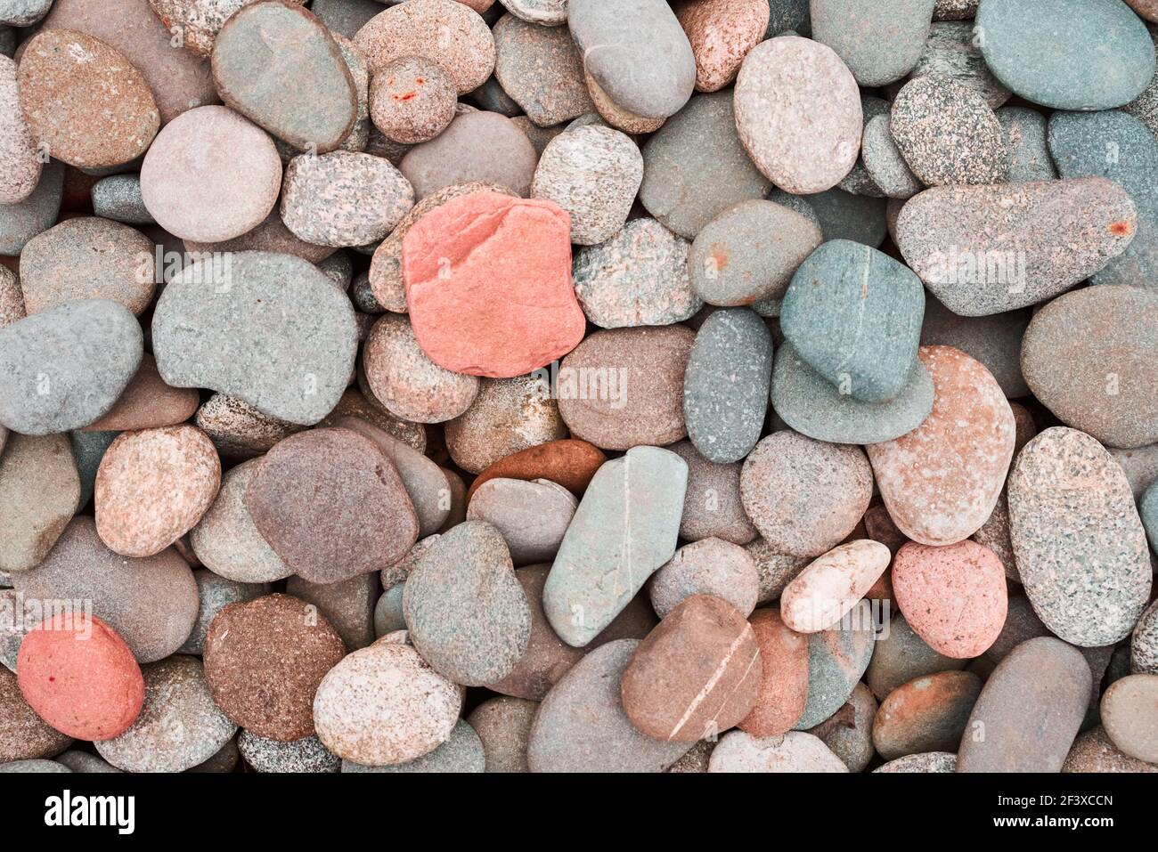 Colored round stones background. Pebbles texture Stock Photo