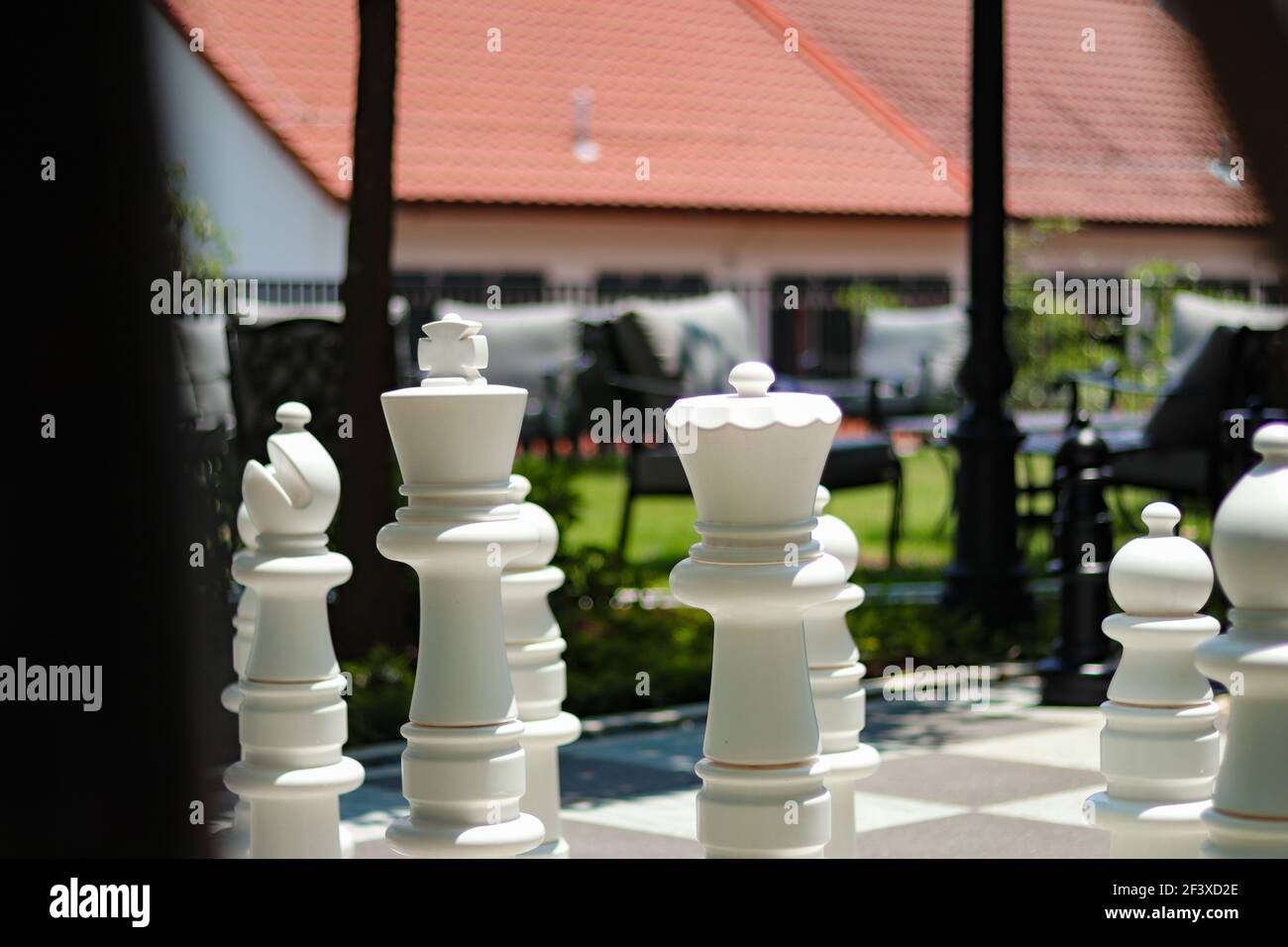 White And Ivory Chess Pieces Are Next To Each Other Background, Chess  Pieces Names With Picture Background Image And Wallpaper for Free Download