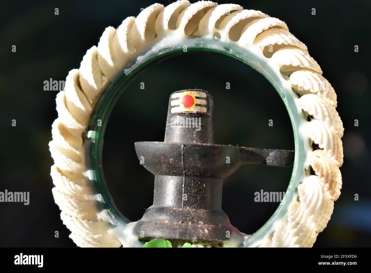 Lord Shiva Lingam. Shiva Linga decorated with flowers and frame for Pooja or worshipping. Stock Photo