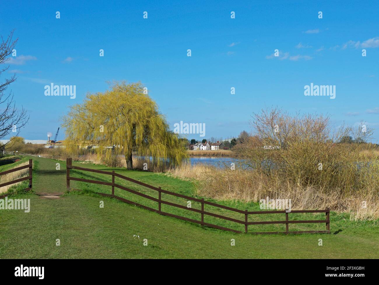 The River Ouse near Hook, East Yorkshire, England UK Stock Photo Alamy