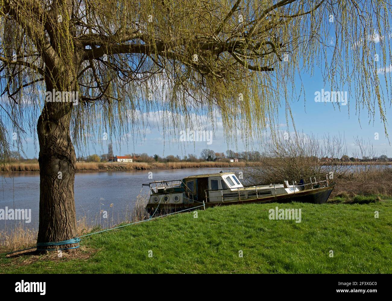 Boat moored on tthe River Ouse near Hook, East Yorkshire, England UK