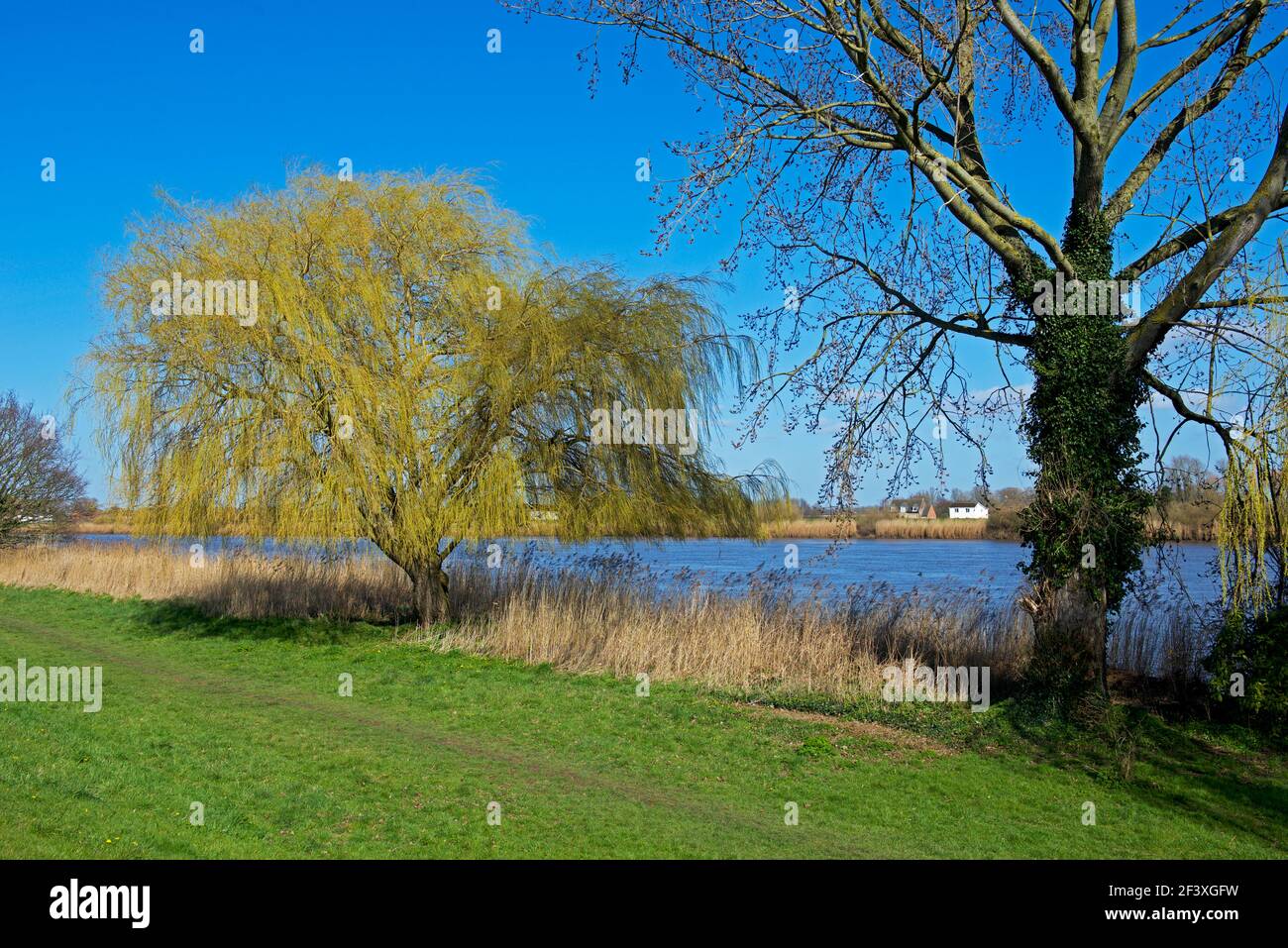The River Ouse near Hook, East Yorkshire, England UK Stock Photo Alamy