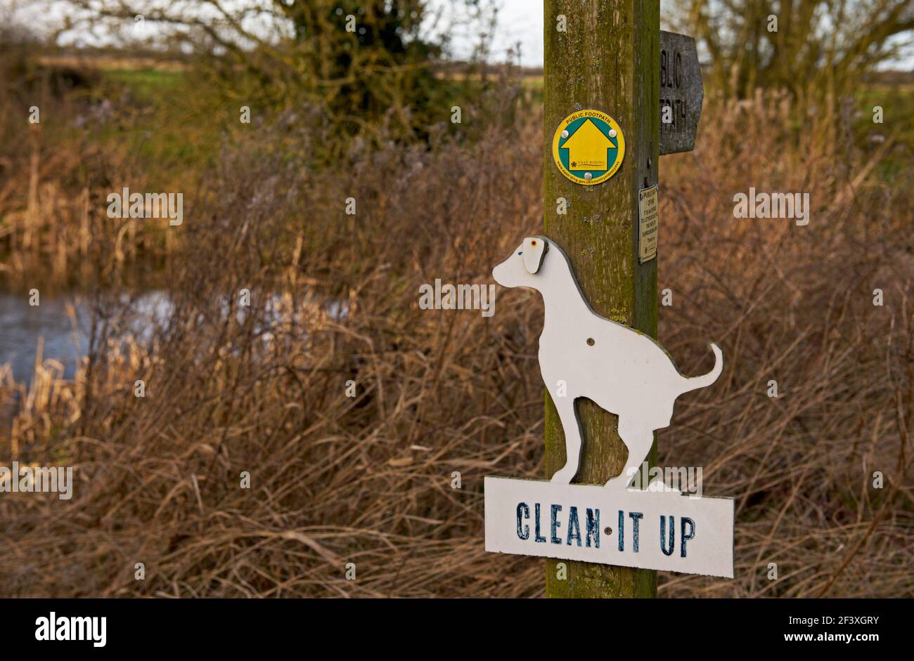 Sign requesting dog walkers to pick up, England UK Stock Photo