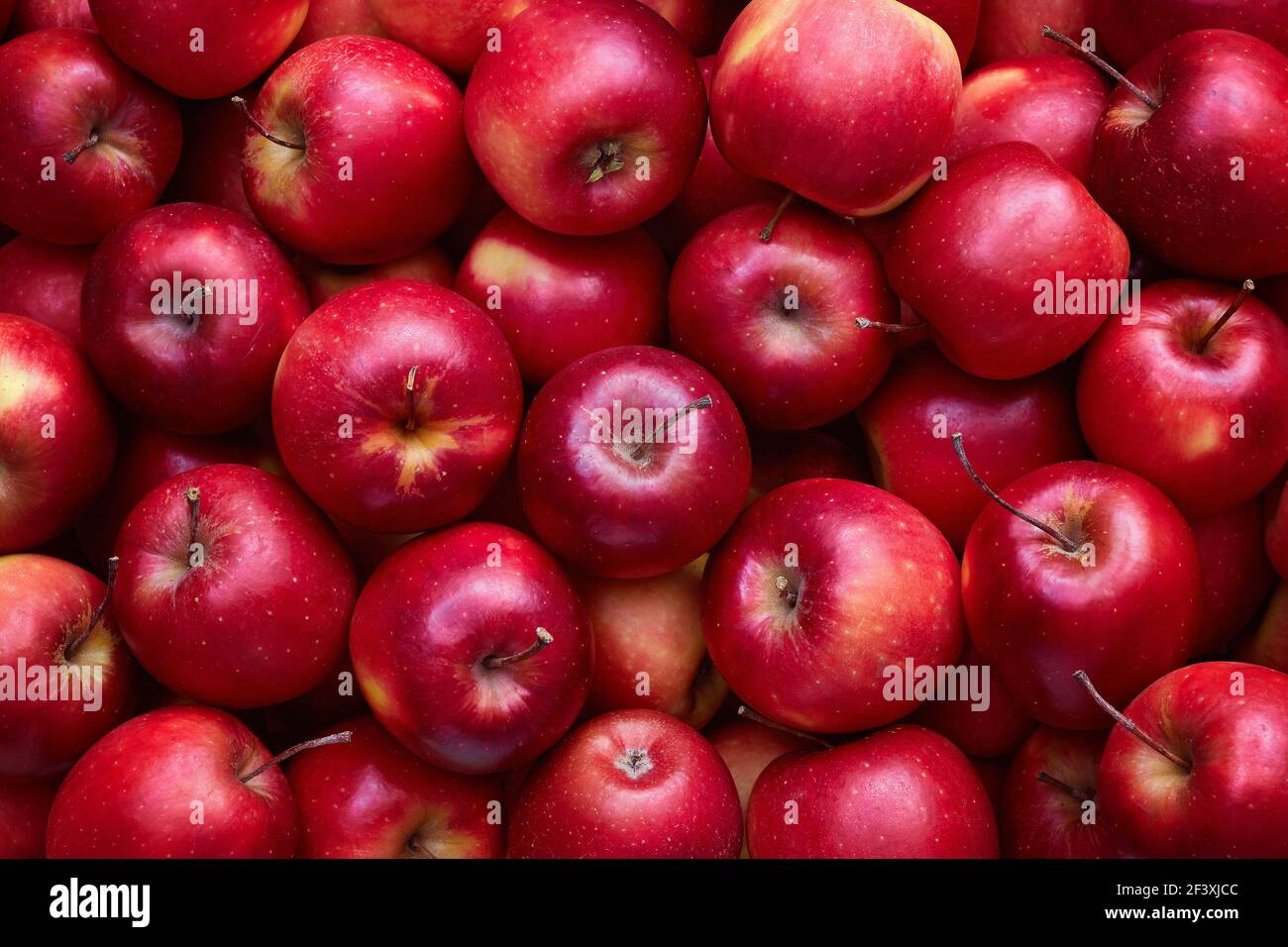 Full frame shot of red apples. Fresh red apples from the market. Stock Photo