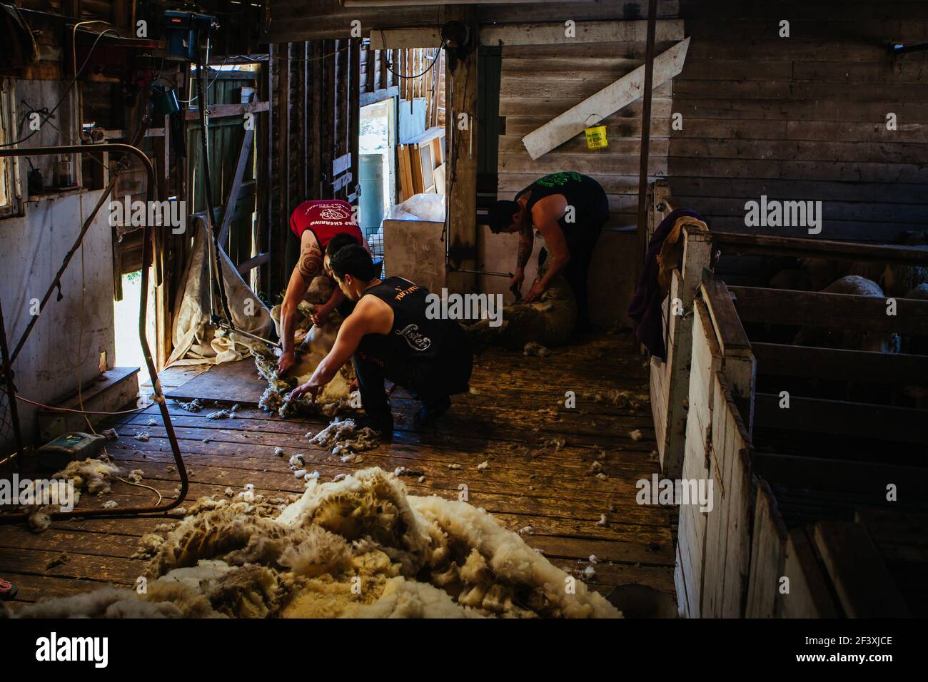 Australian Wool Shed Stock Photo Alamy