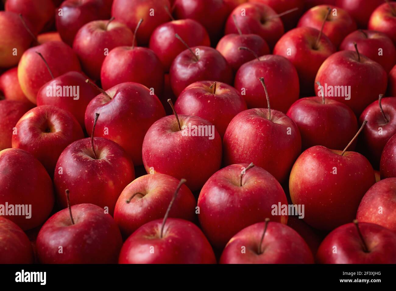 Full frame shot of red apples. Fresh red apples from the market. Stock Photo