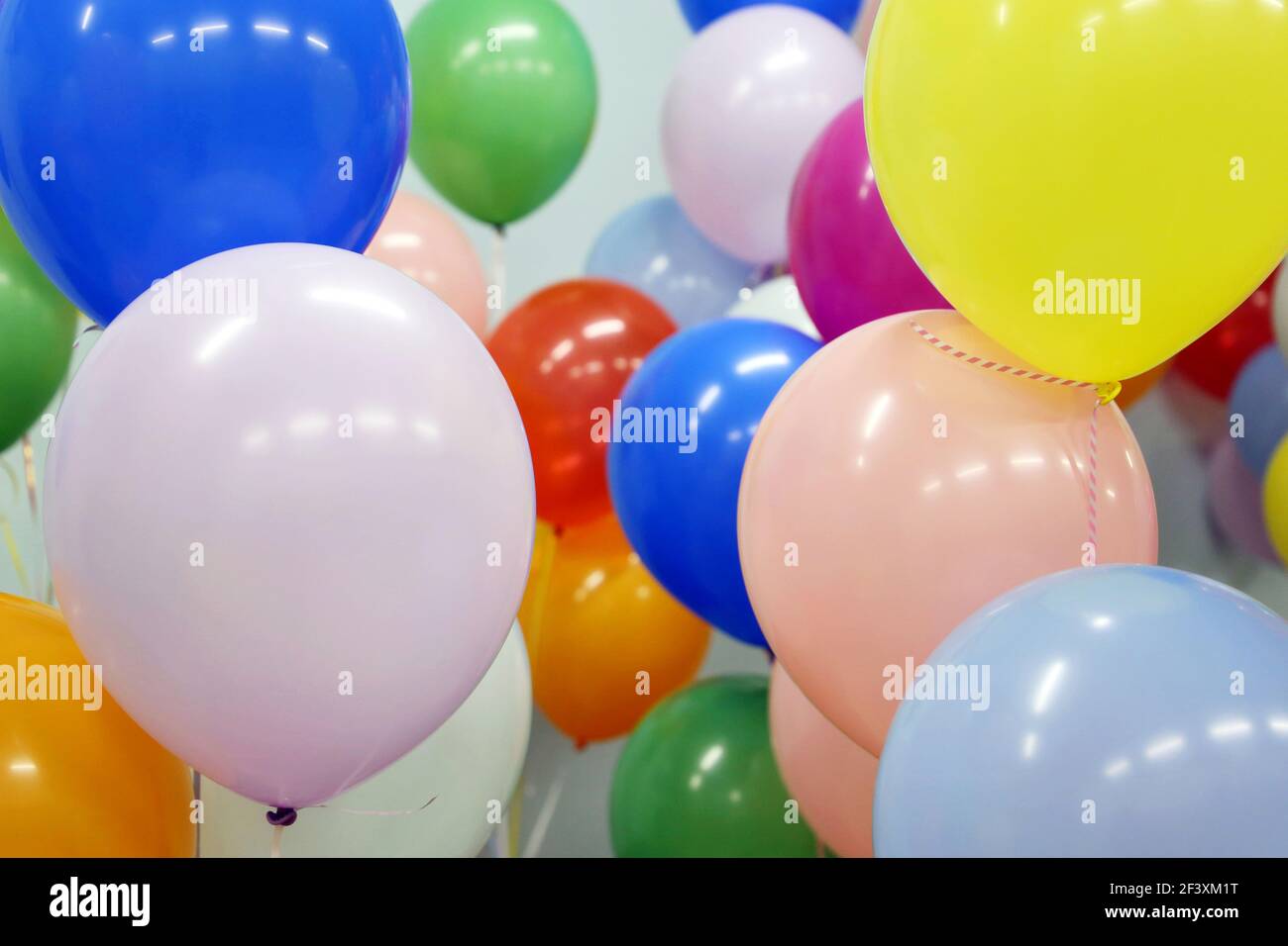 Helium balloons with ribbons in the office. Colorful festive background for birthday celebration, corporate party Stock Photo