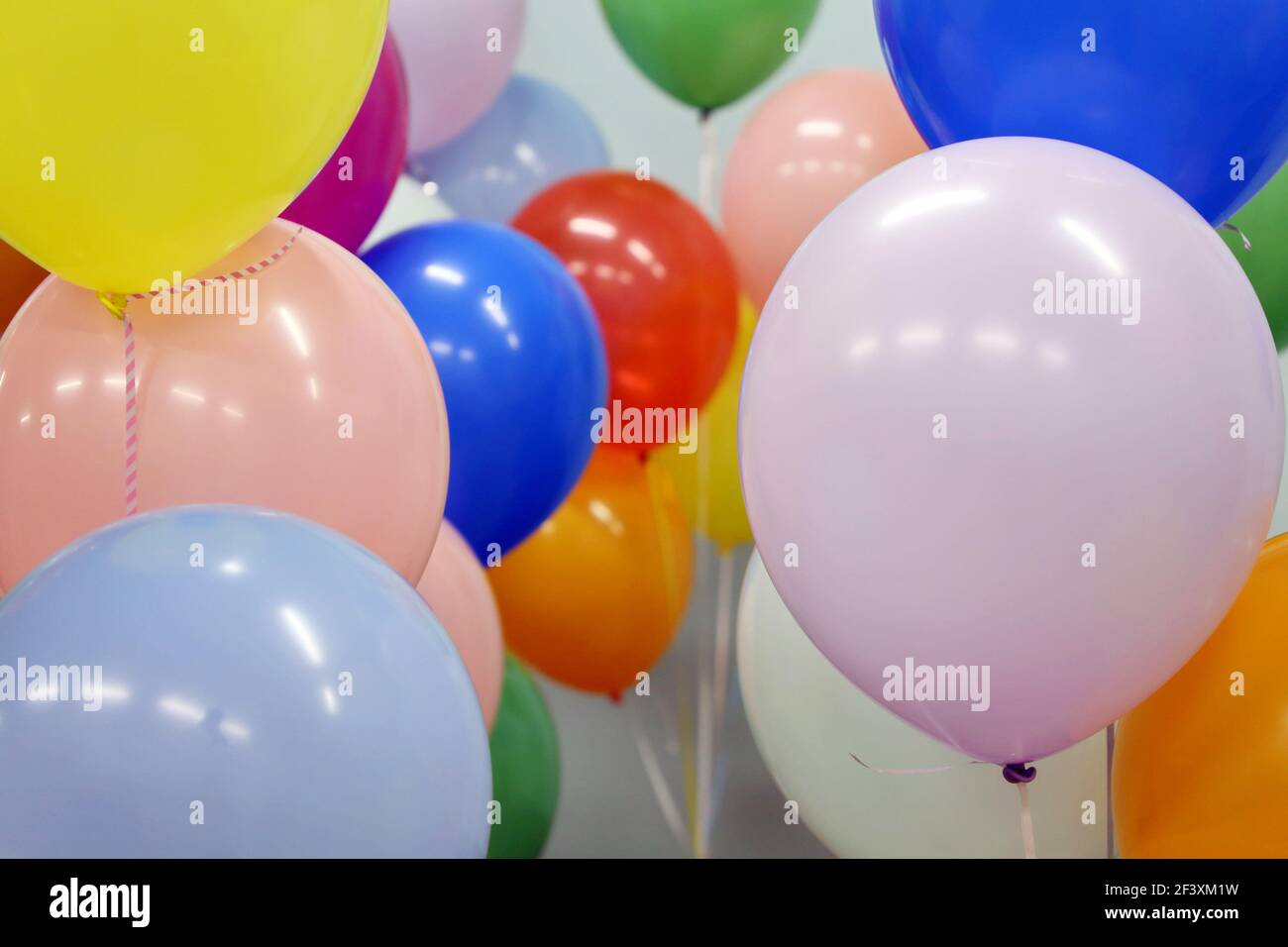 Helium balloons with ribbons in the office. Colorful festive background for birthday celebration, corporate party Stock Photo