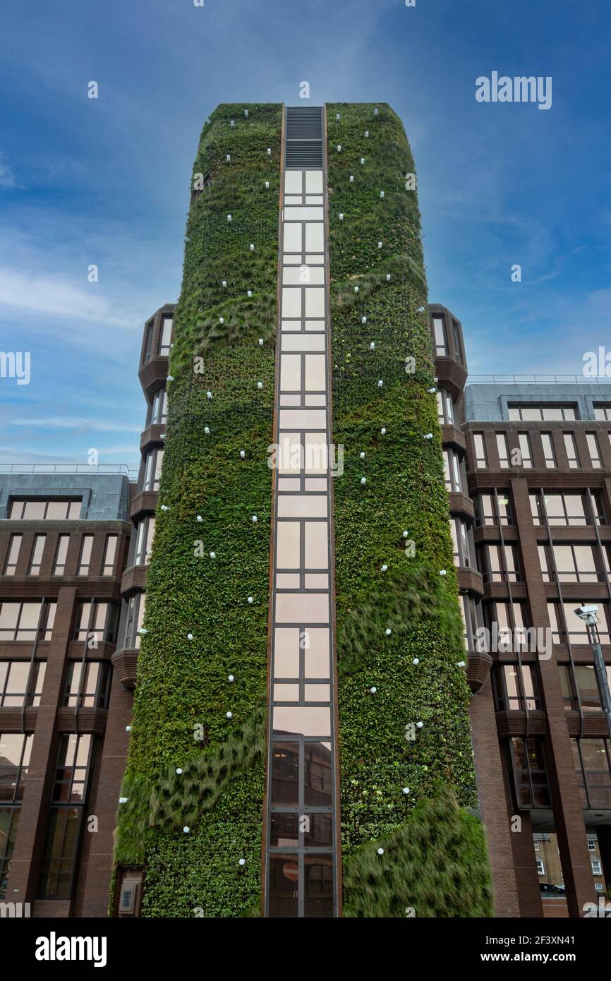 Living wall on Dukes Court, a 40 metre tall office building in Woking ...
