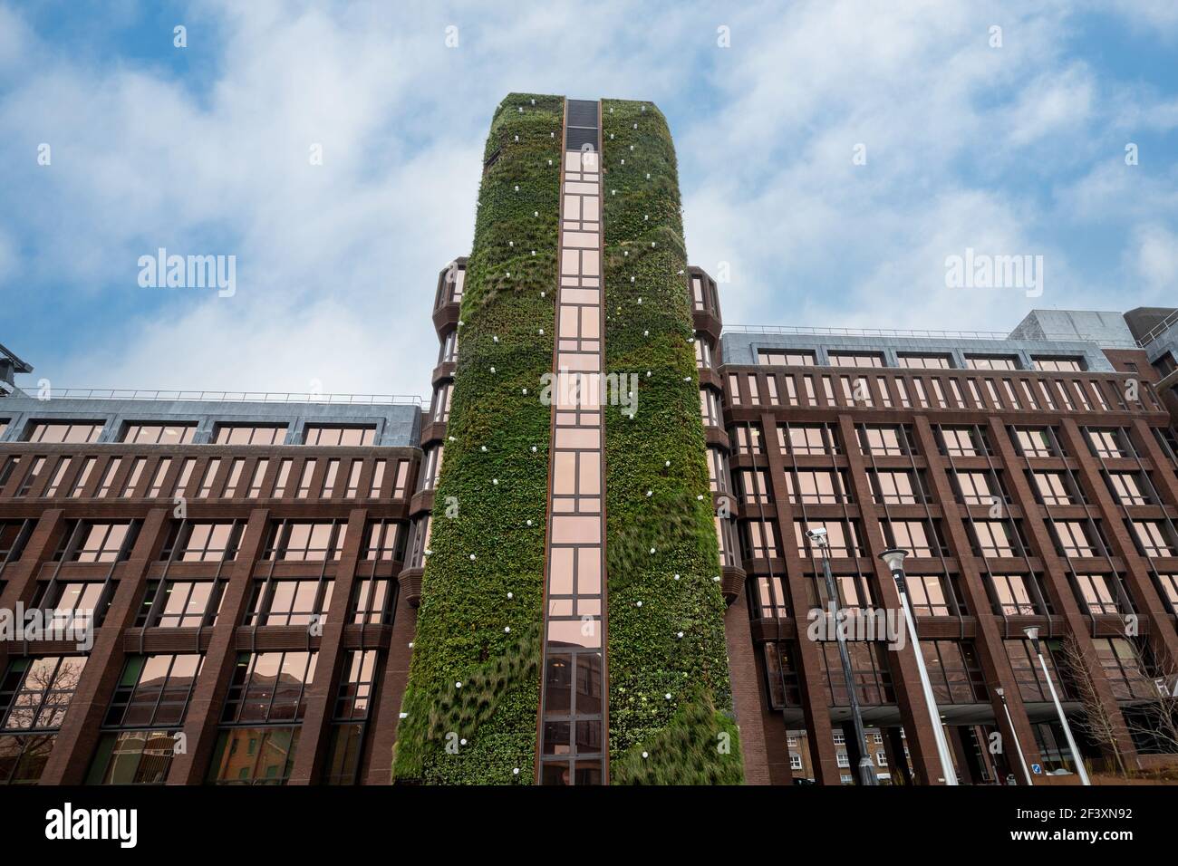 Living wall on Dukes Court, a 40 metre tall office building in Woking town, Surrey, England, UK, covered with green plants Stock Photo