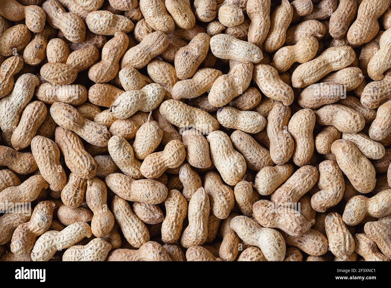 Background of roasted peanuts in shell. Stock Photo