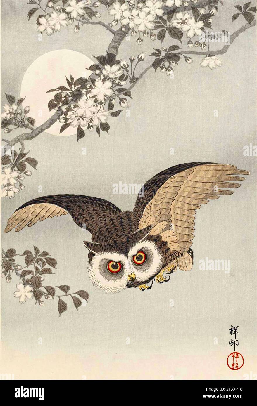 Good luck owls hires stock photography and images Alamy