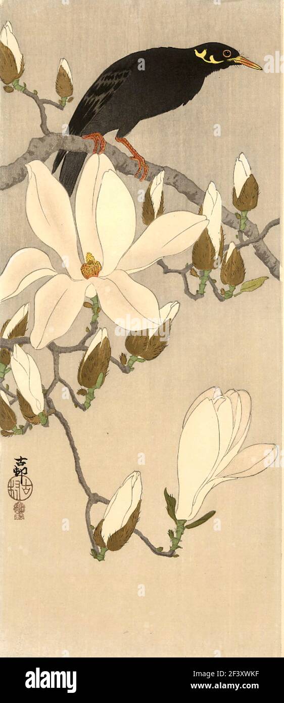 Ohara Koson artwork entitled Myna on Magnolia Stock Photo