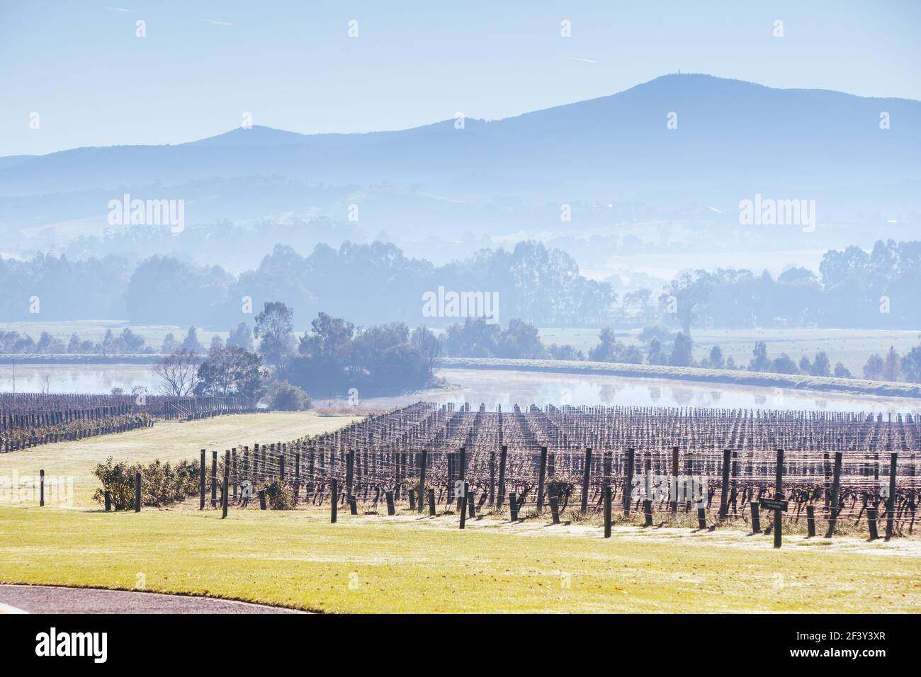 Foggy Yarra Valley During Winter in Australia Stock Photo