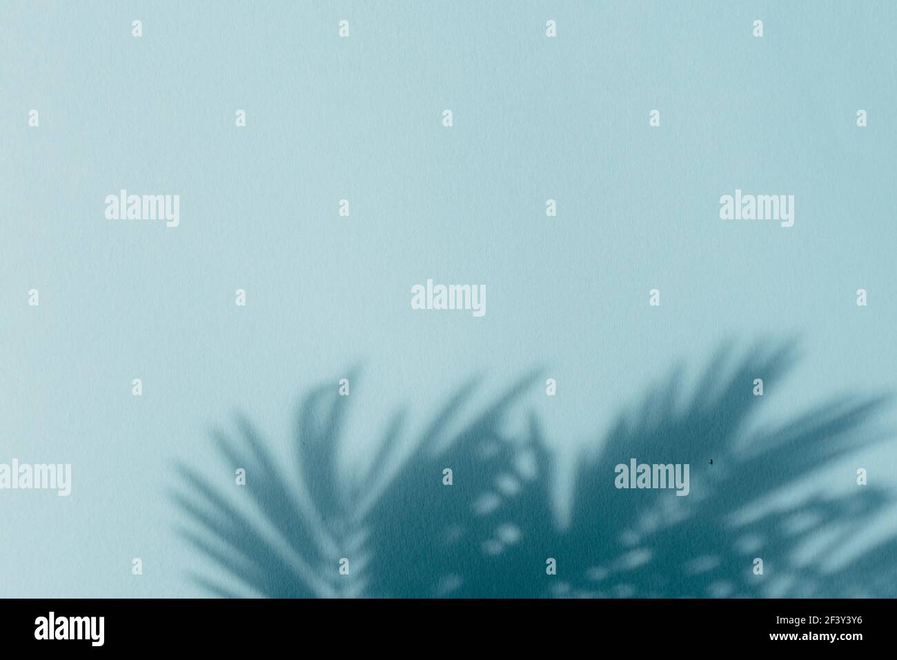 Palm leaf shadows on blue wall. Copy space. Backdrop texture for design Stock Photo