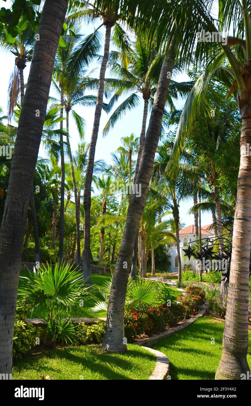 Book Now, La Palmilla Boutique Resort & Gardens