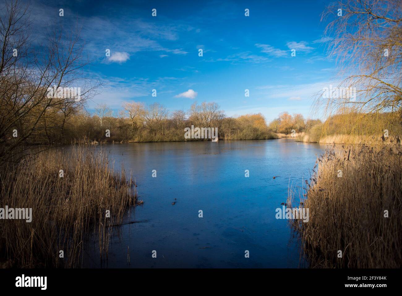 Ejby Mose is a marshland area in the Glostrup district of Copenhagen, Denmark Stock Photo