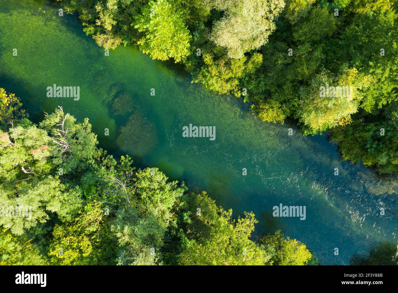 Top view on wild environment of forest and river. Stock Photo