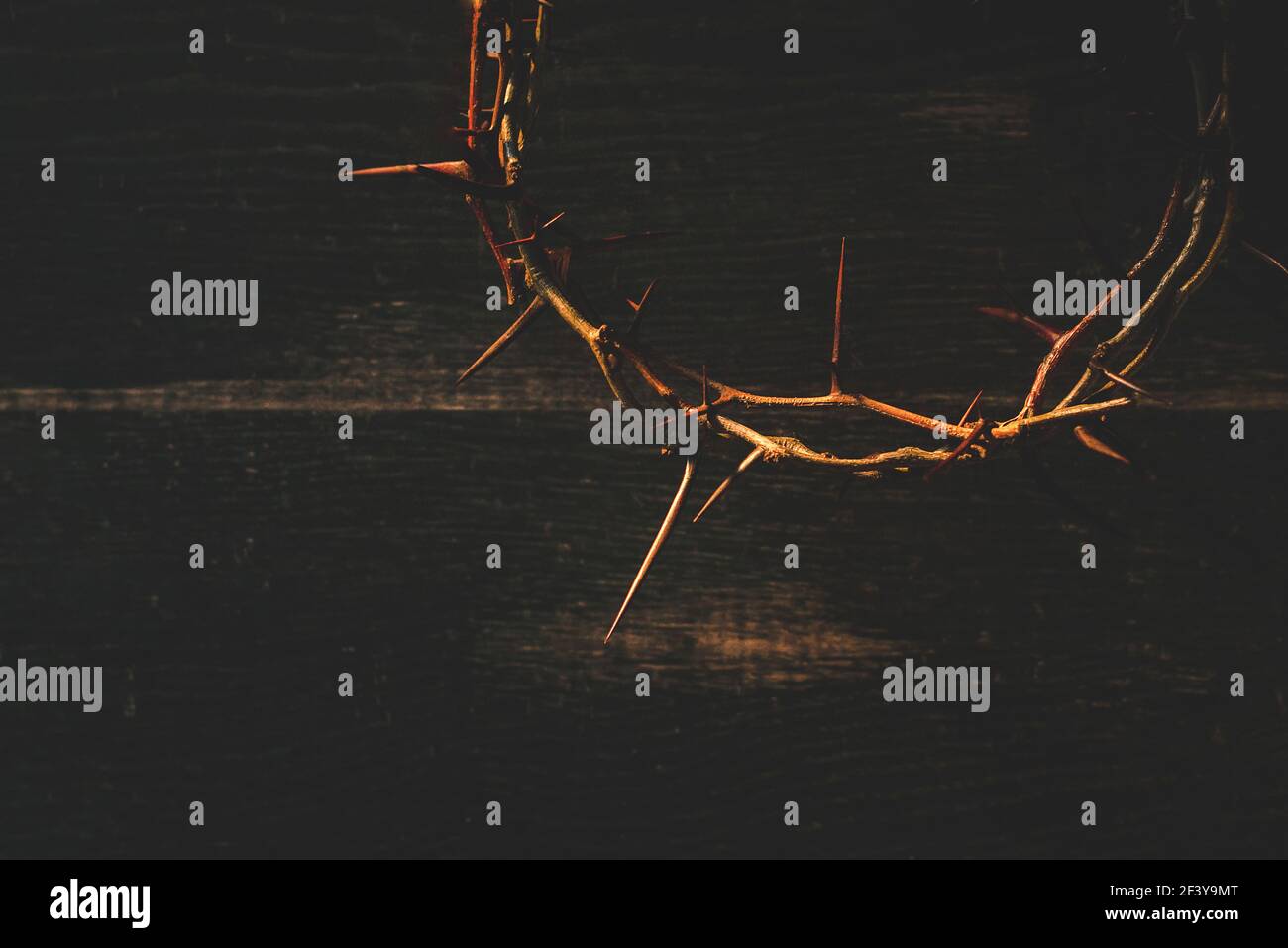 Crown of thorns on wooden table, closeup with space for text. Easter attribute Stock Photo