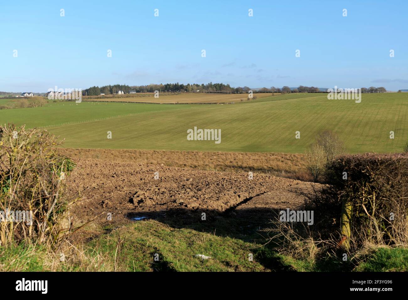 Scottish countryside near the Ayrshire village of Dalrymple Stock Photo
