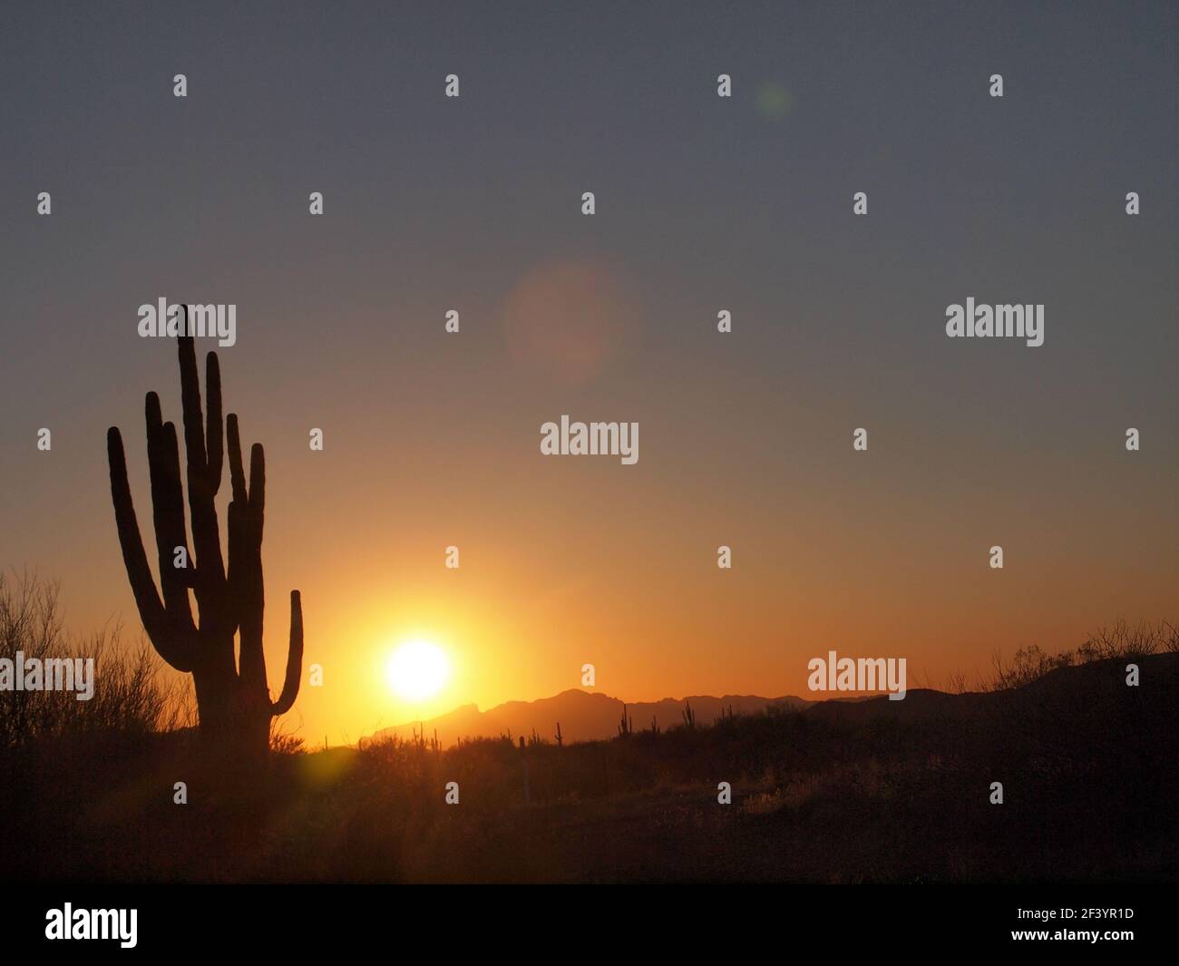 Sunset over the sonoran desert in arizona hi-res stock photography and ...