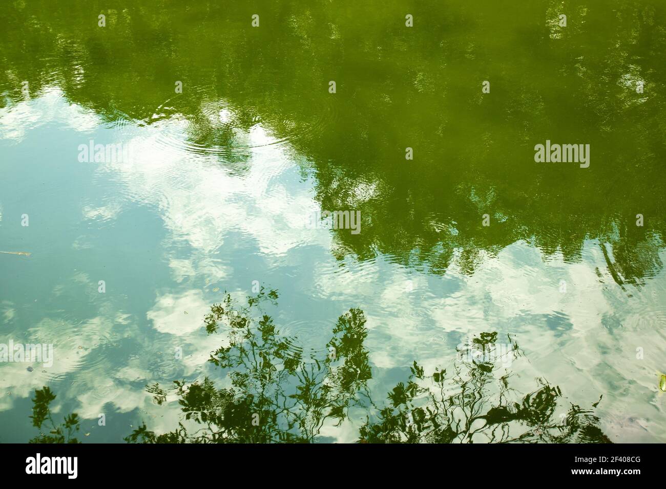 Reflection of the Clean and Calm Lagoon Water Stock Photo - Alamy