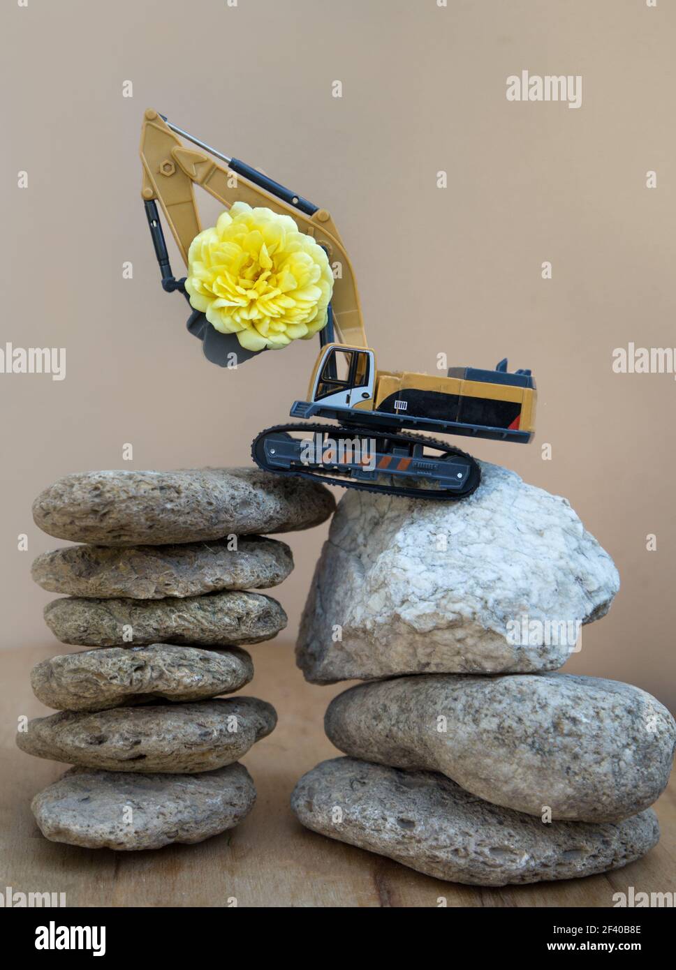 large yellow rose flower on the arrow of a toy construction excavator  standing on stones balancing on top of each other. business -  congratulations, h Stock Photo - Alamy